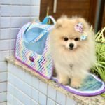 WhatsApp Image 2022-11-09 at 23.23.28 (2)